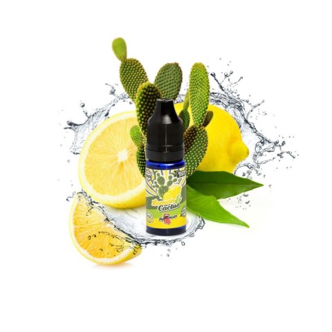 Aromat do liquidu Big Mouth Retro Juice 10ml - Lemon Cactus