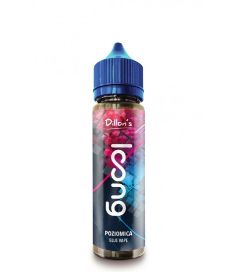 Longfill Dillon's Loong Blue Vape - Poziomica 10/60ml