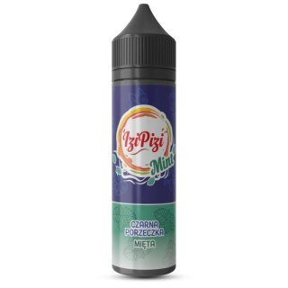 Longfill IZI PIZI - Czarna Porzeczka Mięta 6/60ml