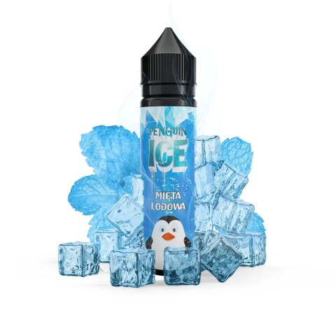 Longfill Penguin Ice - Mięta Lodowa 10/60ml