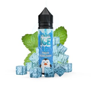 Longfill Penguin Ice - Mięta Ogrodowa 10/60ml