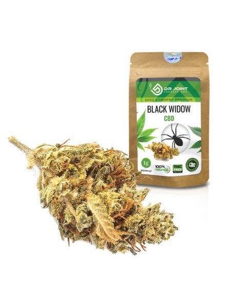 Susz konopny Dr. Joint CBD - Premium Black Widow 1g