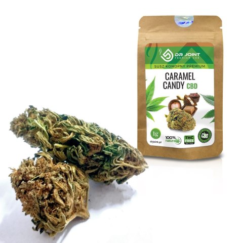 Susz konopny Dr. Joint CBD - Premium Caramel Candy 1g