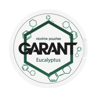 Woreczki Nikotynowe Garant Molecule (20mg) - Eucalyptus