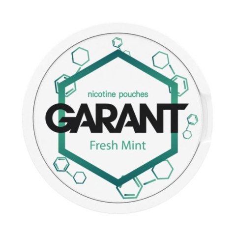 Woreczki Nikotynowe Garant Molecule (20mg) - Fresh Mint