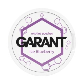 Woreczki Nikotynowe Garant Molecule (20mg) - Ice Blueberry