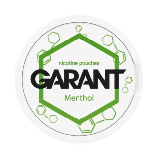 Woreczki Nikotynowe Garant Molecule (20mg) - Menthol