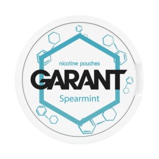 Woreczki Nikotynowe Garant Molecule (20mg) - Spearmint