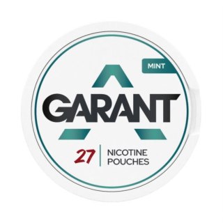 Woreczki Nikotynowe Garant Regular (18mg) - Mint