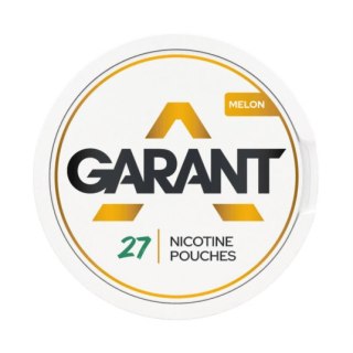 Woreczki Nikotynowe Garant Regular (25mg) - Melon