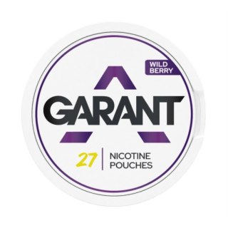 Woreczki Nikotynowe Garant Regular (25mg) - Wild Berry