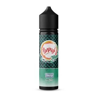 Longfill Izi Pizi Mint 6/60ml - Czarne Owoce Mięta